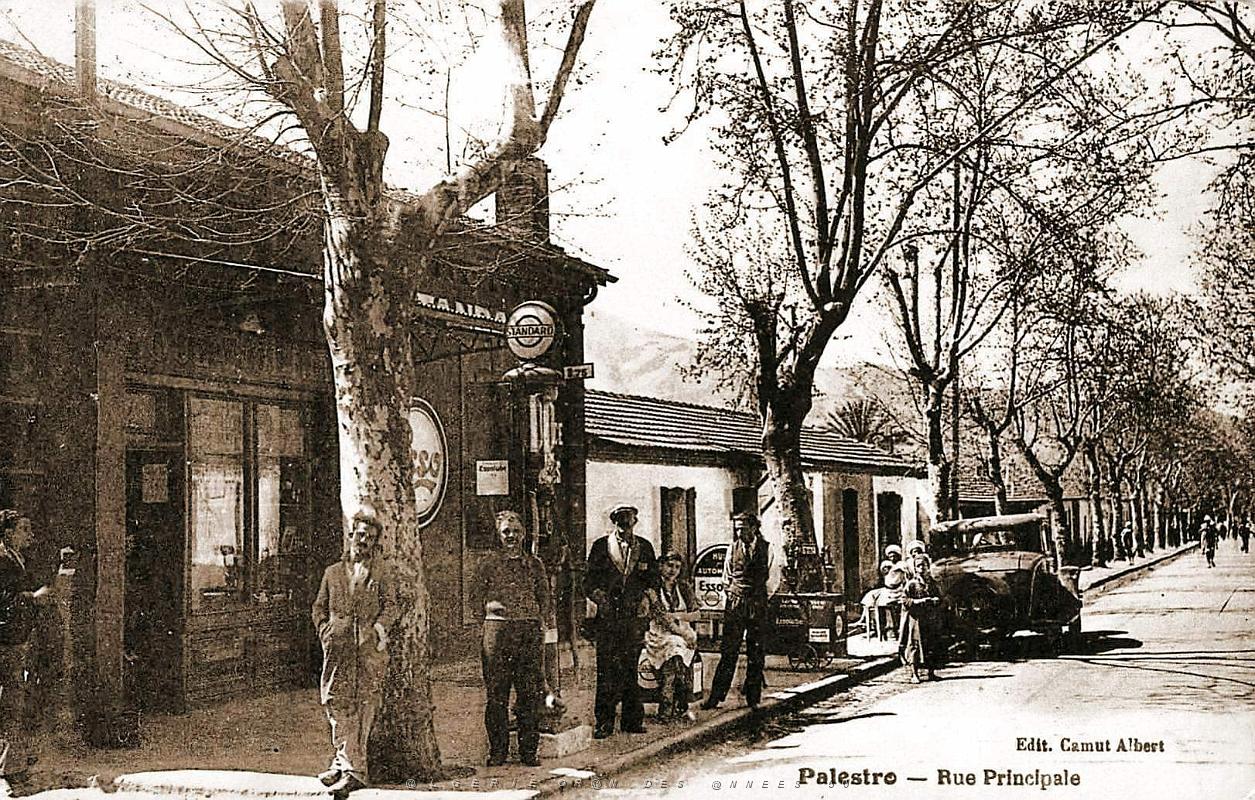 557- Palestro - Rue principale.jpg